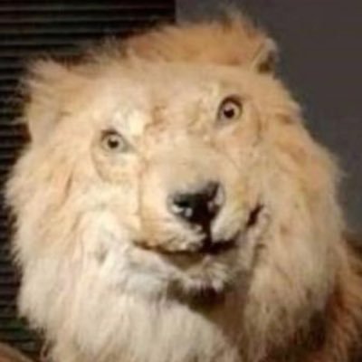 R_GS04's profile picture. 실증 사업 종료 시마시따 퇴사 마렵따