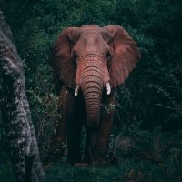 Zungu Sultan🇹🇿 (@zungusultan) 's Twitter Profile Photo Zungu Sultan🇹🇿 (@zungusultan) 's Twitter Profile Photo
