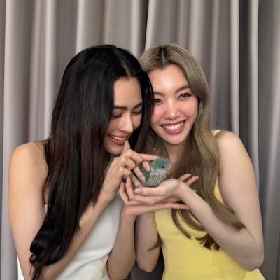 plepleracfee's profile picture. Fan account from Hong kong of Lingorm, Orm Kornnaphat and Lingling Kwong