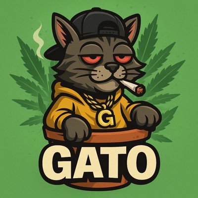 @rino27de