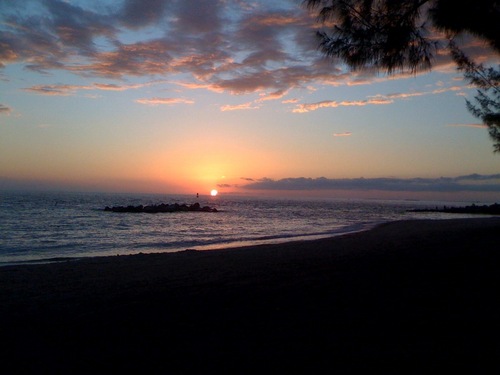 rlpeterson2003's profile picture. 