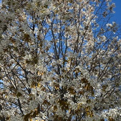 velvetpsalm's profile picture. girl, date your dreams