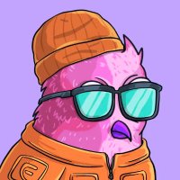 Ruxi ⨀ (@algoruxi) 's Twitter Profile