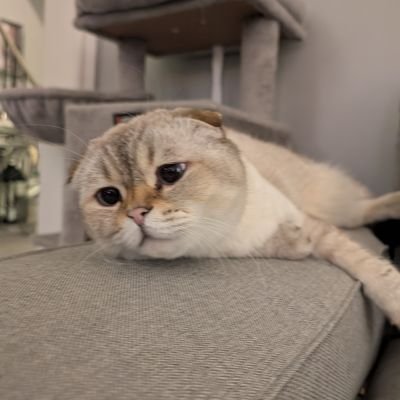 Eagle40751's profile picture. 