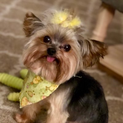 rut14863's profile picture. 