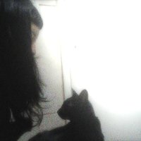 黒猫 (@idbmshane) 's Twitter Profile