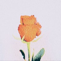 たみ𓅞🌹🥝🍕 (@sunotandattette) 's Twitter Profile Photo