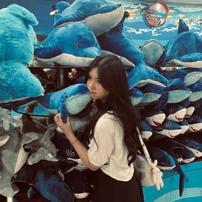 —— it’s crazy to say this, but you’re the greatest @SP_IndiraJKT48 @.shakirravier | 11L !