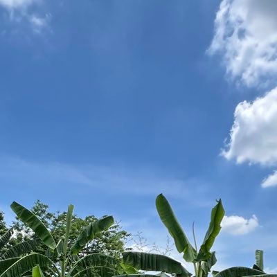 s_nittiwat's profile picture. Energy is everywhere