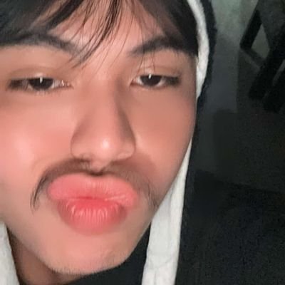 stebeneleben's profile picture. 