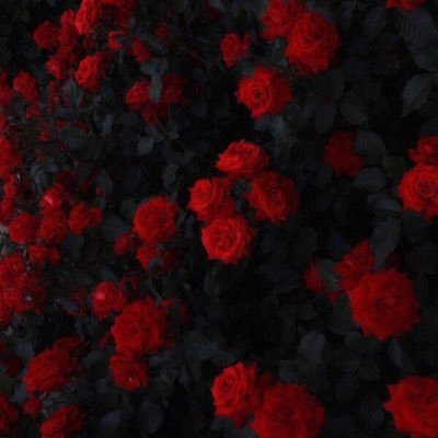 82_HxM's profile picture. 오프x