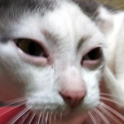 fafafairyyytale's profile picture. 20+ akun baca AU✨️