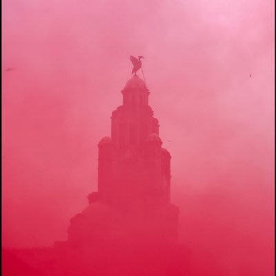 Rachel_Jonesy8's profile picture. The World is on it’s arse