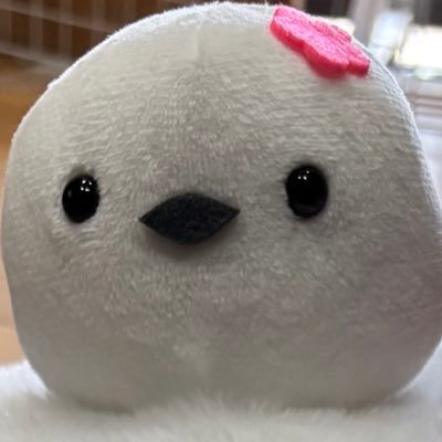 スノードロップさんのプロフィール画像