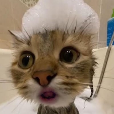 bpcookie23's profile picture. 