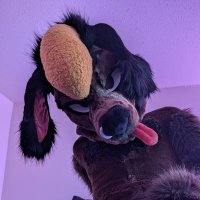Blaze but naughtier ๐ ๐ MP (@poodlepuppyboy) 's Twitter Profile Photo Blaze but naughtier ๐ ๐ MP (@poodlepuppyboy) 's Twitter Profile Photo