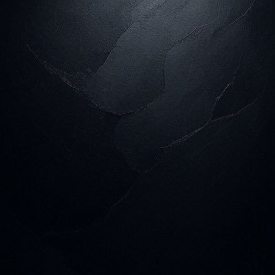 Elonmuskptesla's profile picture. 