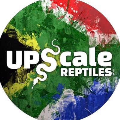 zandberg97's profile picture. 🇿🇦 South African
🐍 Hobbyist Ball Python Breeder/Keeper. 
📸 Showcasing some of my animals.