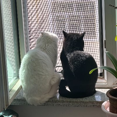 jnub141095's profile picture. 身未动，心已远。