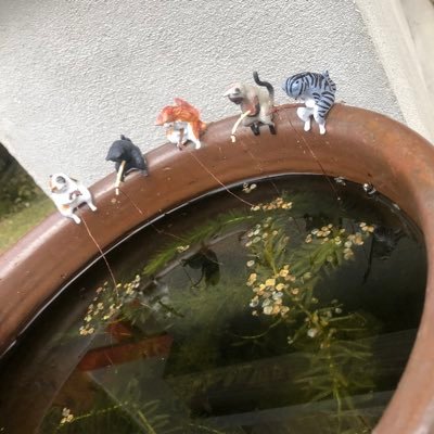 taka7star's profile picture. どっかの大手の役職さんしてます(休職中)ただのギャン好きとゲーム好き。仲良くしてくださいな！ちなみに私服？そんなもんスーツばっかの男なんで聞くのは野暮ですよ←