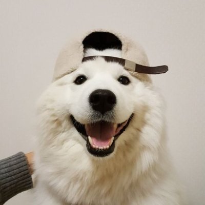 emibonniepizzi's profile picture. 🇻🇳 emibonnie lover