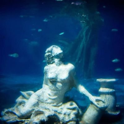 Cheet4hS's profile picture. ⋆⁺₊⋆★⋆⁺₊⋆