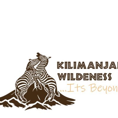 hiarykitaba@gmail.com +255768789304 Safari:kilimanjaro:zanzibar🦓🐾 Ngorongoro. Serengeti. Zanz. TOUR OPERATOR: KILIMANJARO WILDERNESS EXPLORES. Mt Kilimanjaro