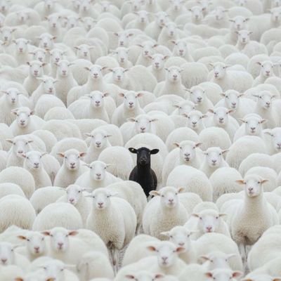 tweeting my thoughts| Alpha circle Owner| Great deal crypto warrior. all about memecoins fueling, motivated to motivate.
tweets =financial advice
Psalms 23 ✝️