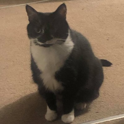 Throw_OwO's profile picture. 