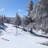 Sami01801863716's profile picture. 