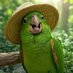 El Loro De Panamá Es Verde (@loroverdedepty) Twitter profile photo El Loro De Panamá Es Verde (@loroverdedepty) Twitter profile photo