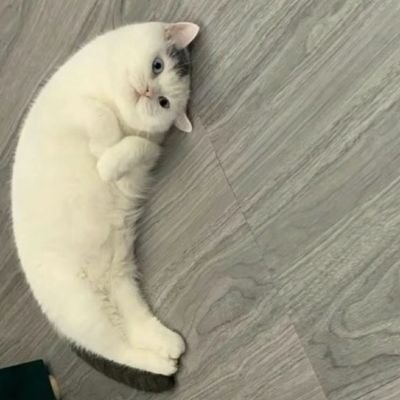 ahuaaa09220's profile picture. Life is still going on!