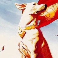 Krypto ( Back early) (@supercockbreedr) 's Twitter Profile Photo Krypto ( Back early) (@supercockbreedr) 's Twitter Profile Photo