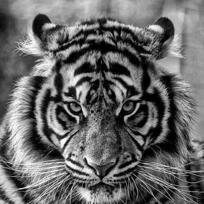 #iFollowback #ProdulyAnambra..⚫🔴Manutd | free spirited. Knowledge is wealth. Sagittarius♐ | UI/UX Designer - God - Tech - Love and Enjoy life