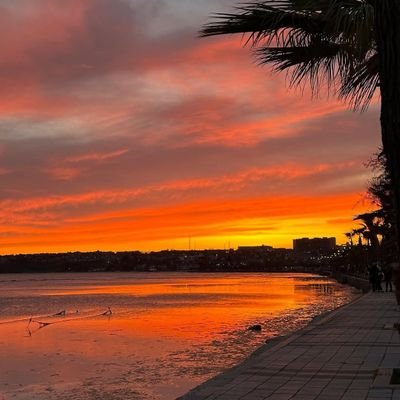 GS♥️💛🇹🇷