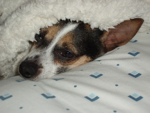 Karen_Mims's profile picture. 