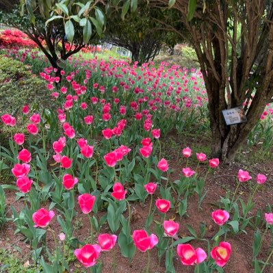 choisunmi0220's profile picture. 헬스💕💕, 코노💕,햄뿡이💕💕💕