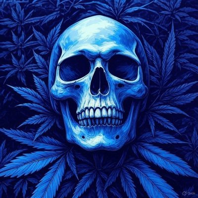 Co-owner of @hydroguana 🦎💧 NM's Only Hydroponic Cannabis 🌿🔥 | Boxing Enthusiast 🥊 | Gamer 🎮 #cannabis #cannabiscommunity #boxing #hydroponics # #gofins