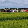 CDPMagri's profile picture. Le CDPM est un groupe de développement agricole indépendant basé à Luçon (85). Travail de groupe, formations, innovations, expérimentations en grandes cultures.