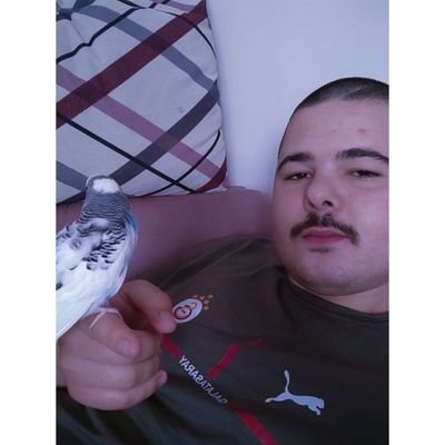 emreatugg34's profile picture. 🇹🇷𐱅𐰇𐰼𐰚🇹🇷