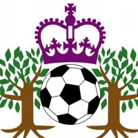 Central & South Norfolk League (@c_snleague) 's Twitter Profile