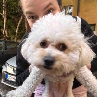 Petra (@petar_perovski) 's Twitter Profile