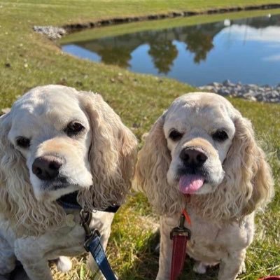 68Obie's profile picture. 🇺🇸Constitutional Conservative🇺🇸 #1A #2A 🇺🇸 #IStandWithTrump 🇺🇸 #WWG1WGA 🇺🇸 #SaveTheChildren 🇺🇸