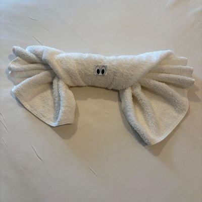 LivingByTheNess's profile picture. no longer posting here