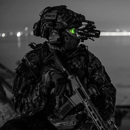 vigilanceEcho's profile picture. CHELS