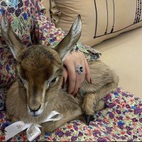 Alreem (@ar27e) 's Twitter Profile