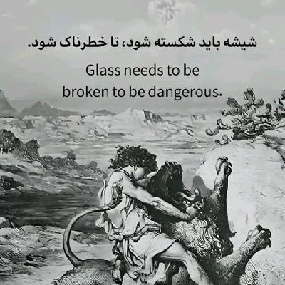 MntqhShir33269's profile picture. پرنده مهاجر