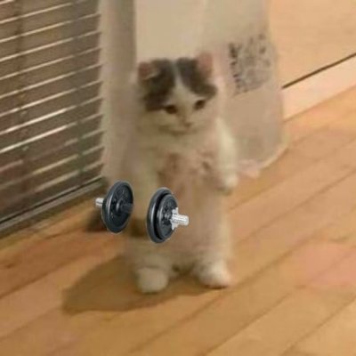 kilaa_yu's profile picture. 