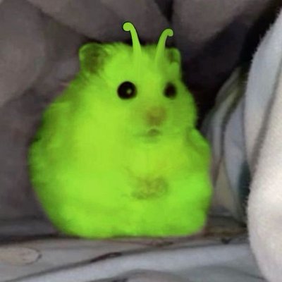 Pp Profile