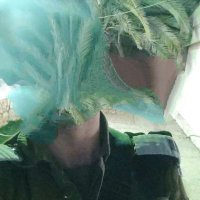 Misternoone (@misternoone3) 's Twitter Profile